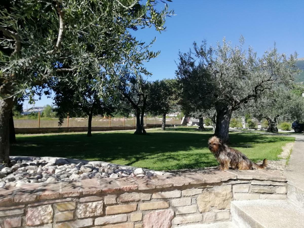 La Lanterna Di Lanfo Lejlighed Assisi Eksteriør billede